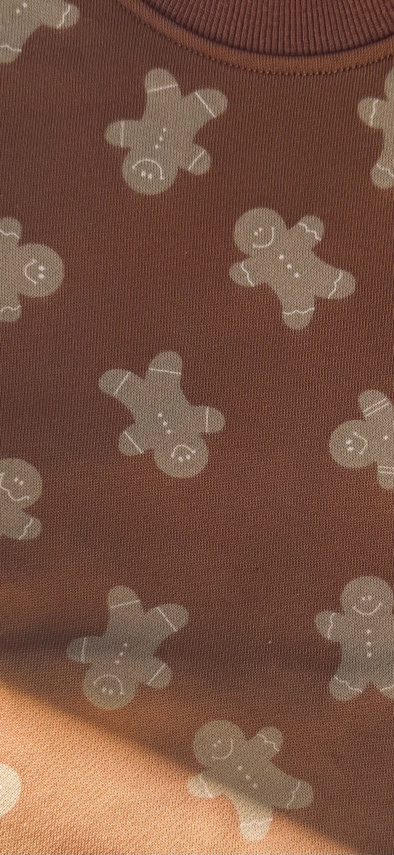 Gingerbread cookie bubble