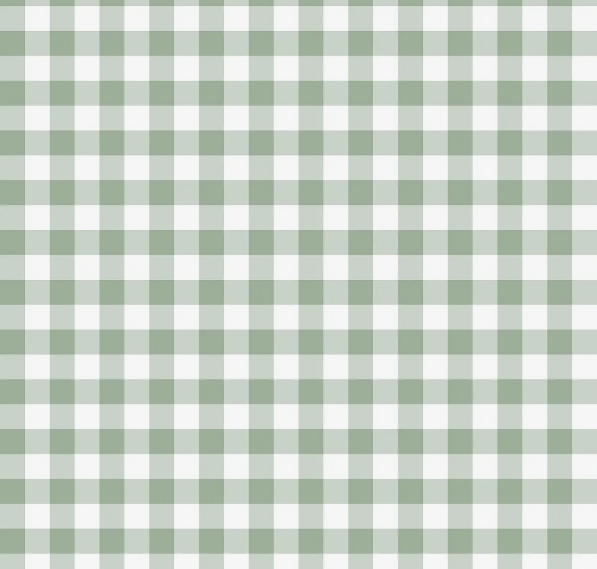 Sage gingham sleeper