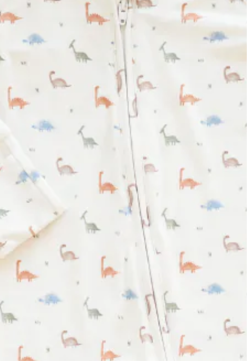 dino sleeper