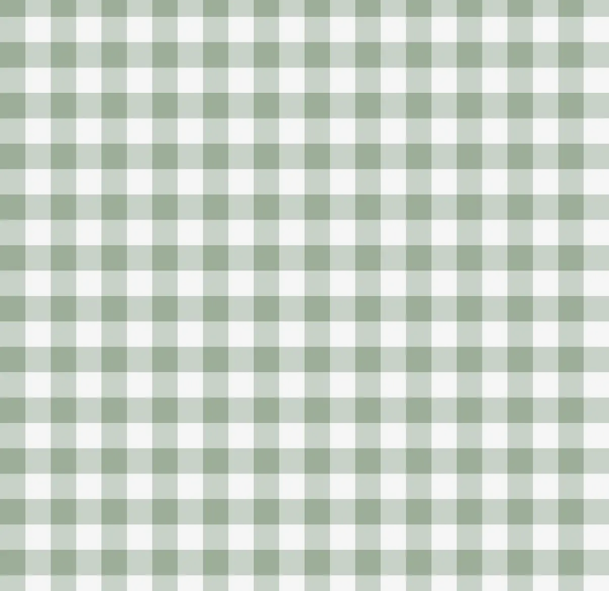 Youth sleep set - Sage gingham