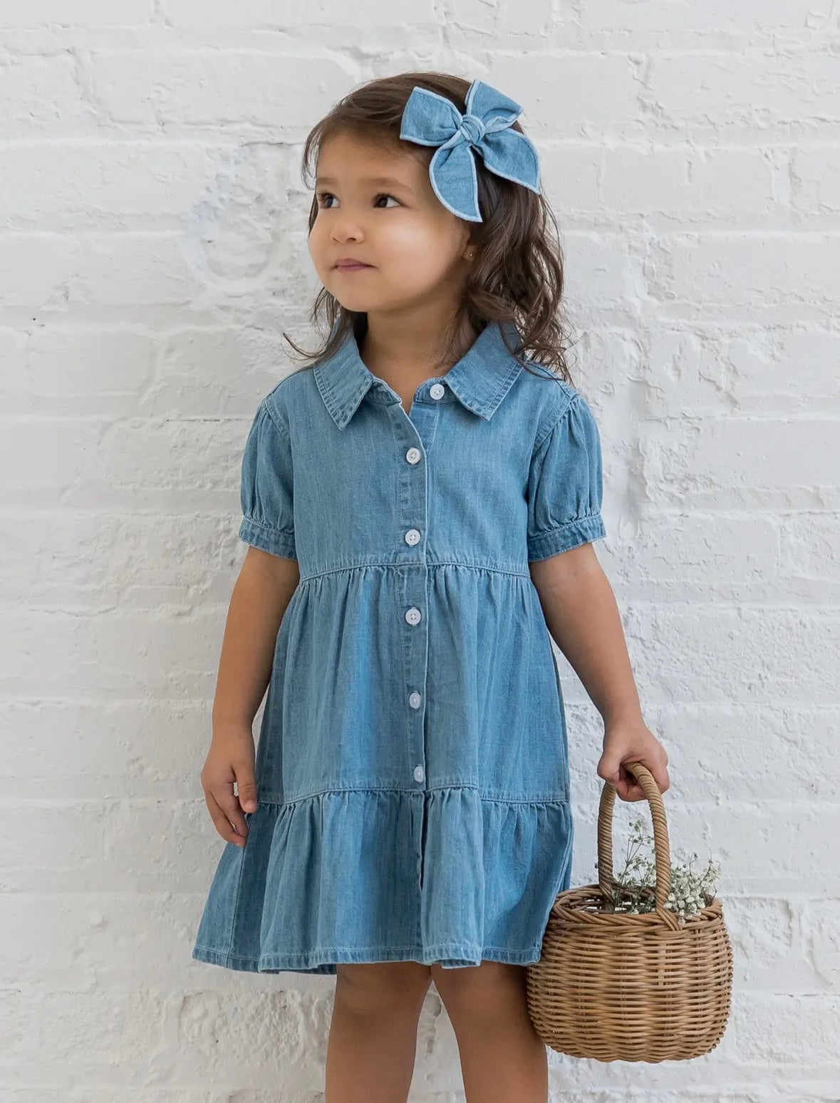 Pippa chambray short sleeve dress